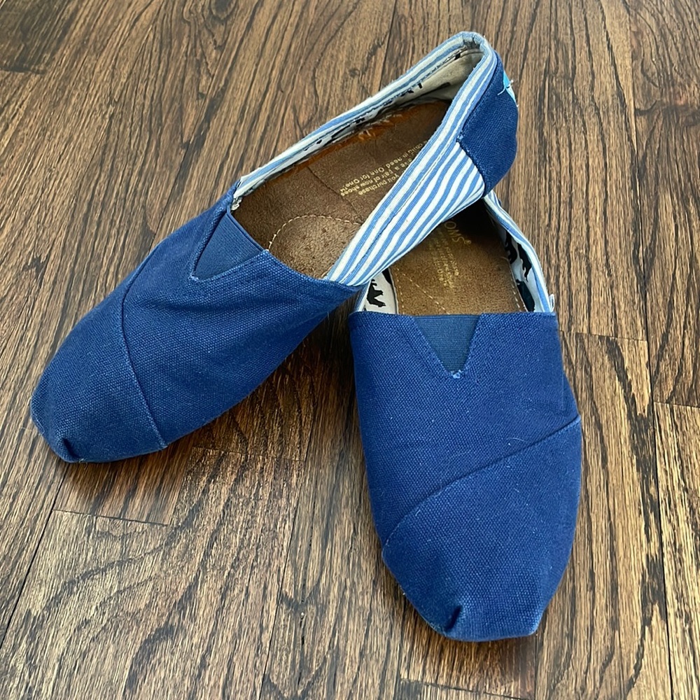 Mens Navy Toms Shoes